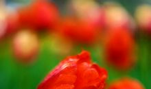 感动常在我心间