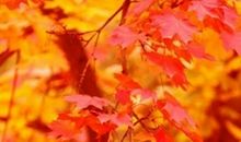 那段难以忘却的时光