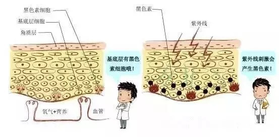 保护有时是伤害