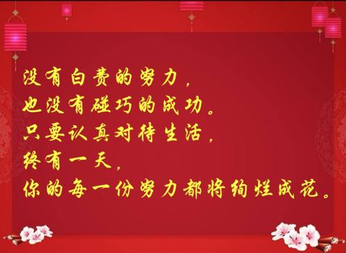 我有很多努力进入中学。