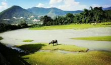 长泰最美的地方