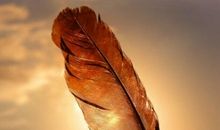 丢失的只是昨天