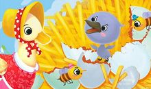 我身边的丑小鸭