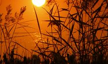 冬日暖阳——母爱