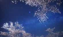 留住天空下的记忆