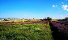 包容永远是晴天