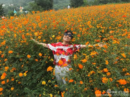 她在鲜花中的笑容