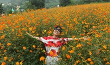 花丛中她的微笑