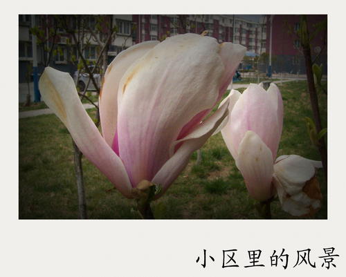 生活是美好的