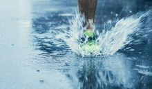 如何在“风”中屹立