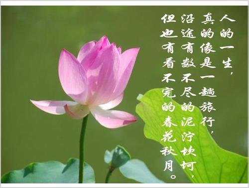 灵魂