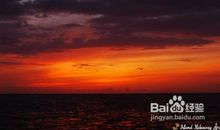 多想，您能从天堂飞下来