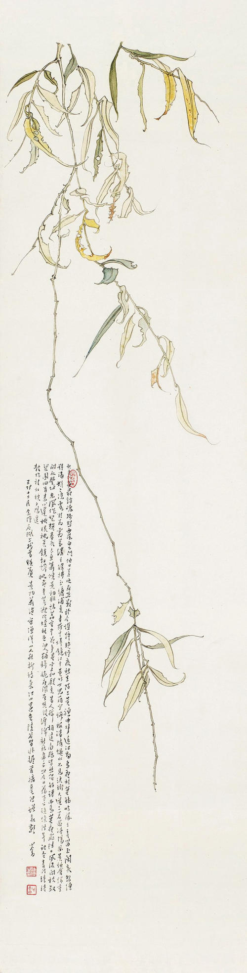 陌生人