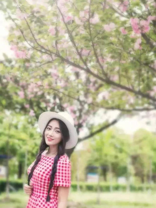 像花蜜一样书