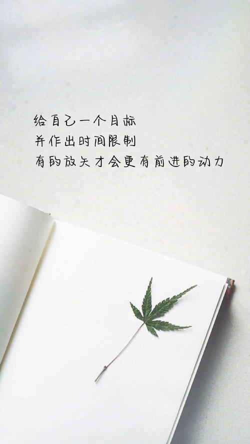 梦想只是泪滴