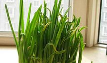 经典伴我茁壮成长