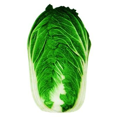 我的白菜