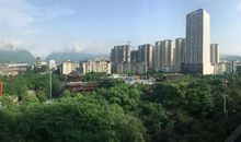 苦涩岁月，芬芳记忆