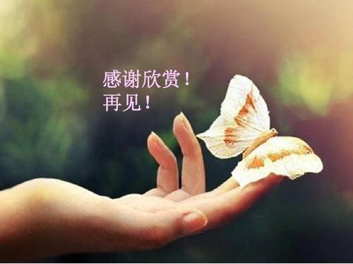 感激找到一个家