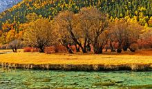 最美，也不过如此