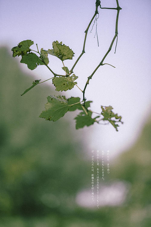 漂浮