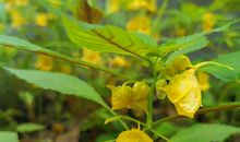 就这样被爱征服