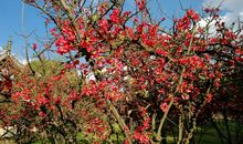 家乡的环境变差了