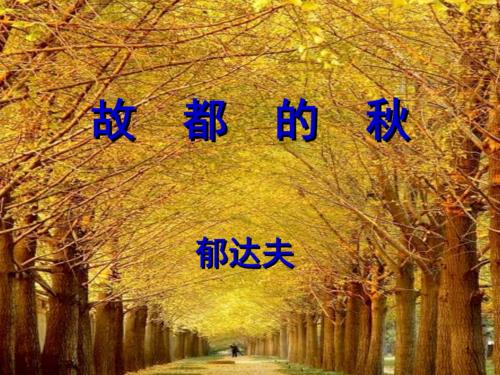 秋天的阅读