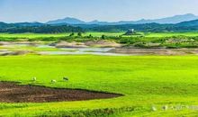 让净雅之迹永驻人间