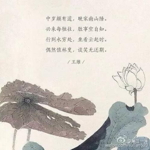 诗歌和禅宗
