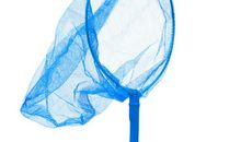 一次有趣的捕蝶