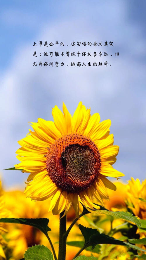 上帝是公平的
