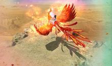 愿得一本撒哈拉，白首不相离