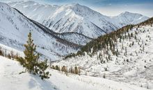 冬天里的风景线