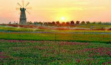 希望是只美丽的风车读后感