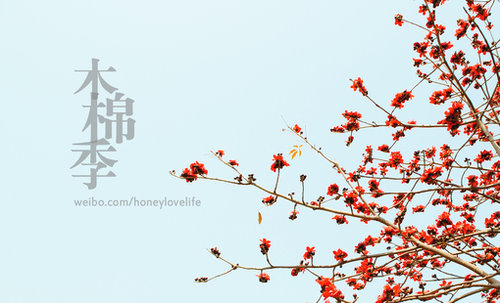 珍惜你面前的幸福