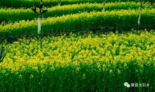 春暖，文明花开