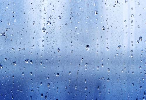 在雨中，沉默的出价