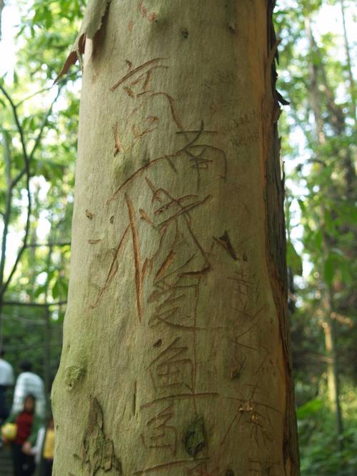 记住