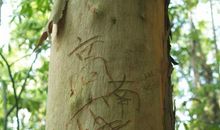 刻在心中的规则