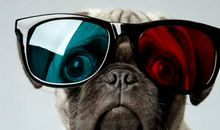 再见，我的年少轻狂