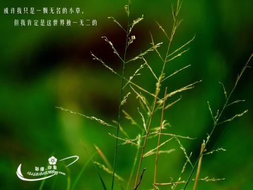 生活中是否缺乏美感？