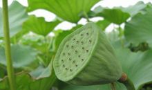 沁入心脾的墨香