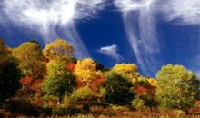 充满了美丽和汗水的春天