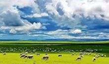 藏在最深处的爱