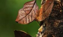 那一年破茧的时光