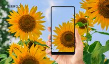 那些美好的事物