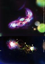 另一个世界