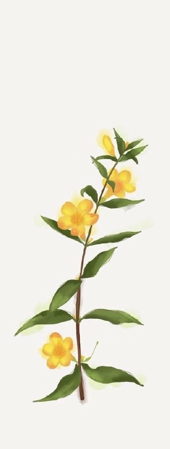 老师，一生