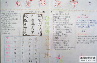 给我一个进化的地方